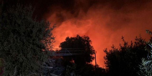 Bodrum'da makilik alanda yangın çıktı