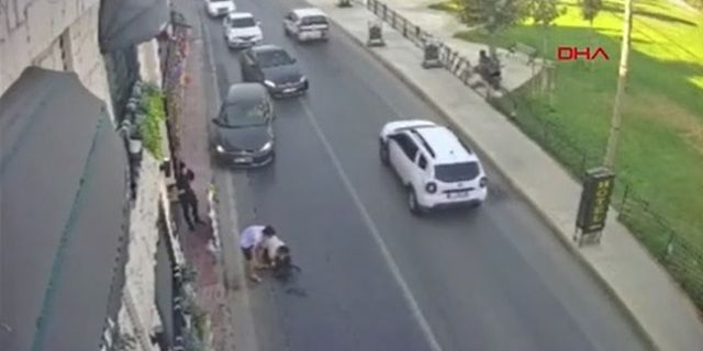 İstanbul Bakırköy'de bir sürücü 2 köpeğe çarpıp kaçtı