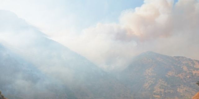 Bitlis’te orman yangını devam ediyor