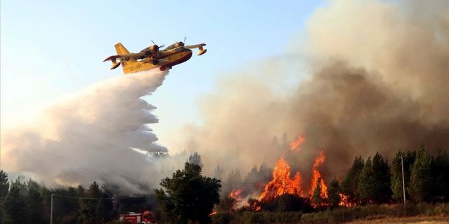 İspanya'daki orman yangınları 7'nci günde kontrol altına alındı