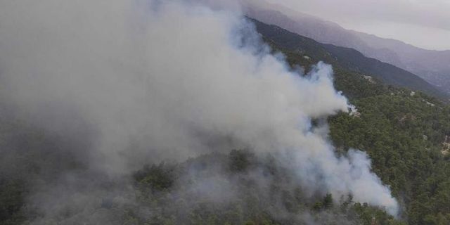 Manavgat'ta çıkan orman yangını kontrol altına alındı