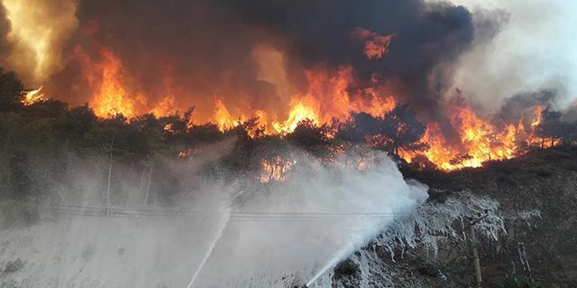 Orman yangınlarıyla mücadele bütçesi azaltılıyor