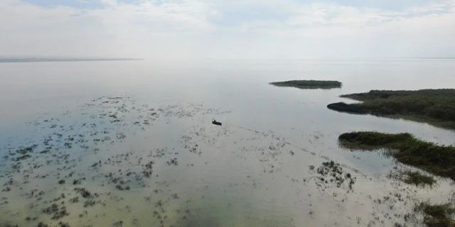 Uluabat Gölü can çekişiyor