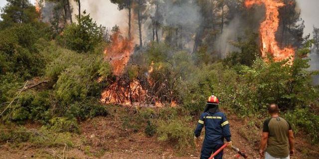 "9 ilde çıkan 14 orman ve 11 kırsal alan yangınlarının tamamı kontrol altına alındı"