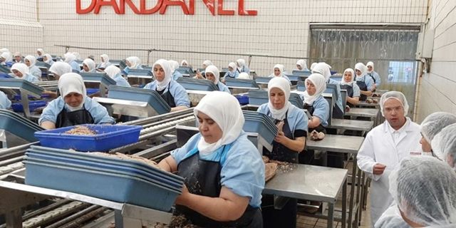 Dardanel’de işçilerin sesi duyulmuyor: “AKP arkasında olduğu için…”
