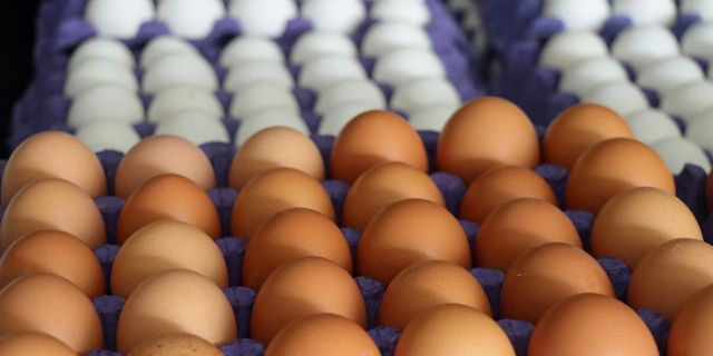 YÜSAD Başkanı Akman: "Yumurta fiyatlarında artış kaçınılmaz"
