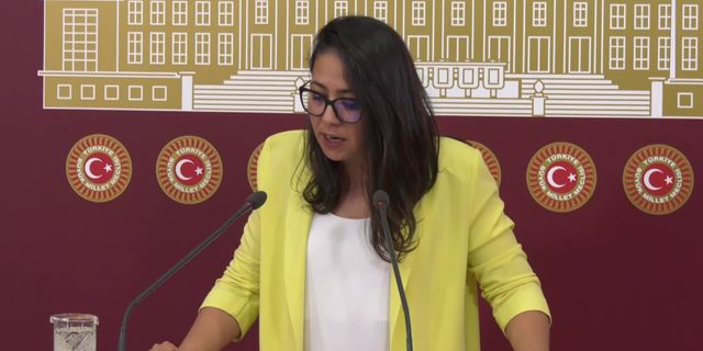 Kadıgil: Erdoğan'ın elinde kalan son düşman LGBTİ+'lar