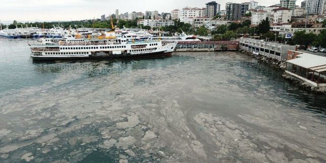 Müsilaj ve fabrika atıklarıyla uğraşan Marmara Denizi, Mavi Bayrak alamadı
