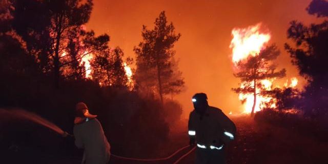 AFAD Orman yangınlarına karşı uyardı: Yangın riski artabilir