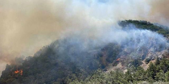 Meteoroloji 7 kent için "orman yangını"na karşı uyarıda bulundu