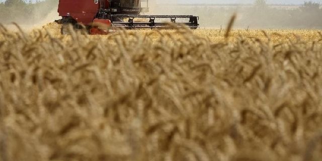 Ukrayna'dan dünyaya tahıl ihracatı bu hafta başlıyor