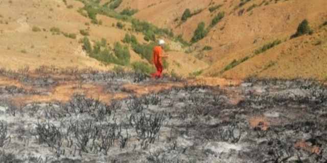 Bingöl Yayladere'de otluk alanda yangın