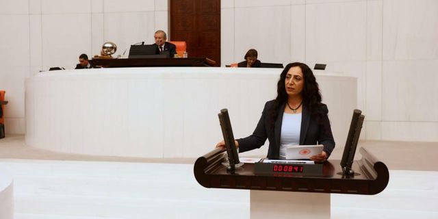 HDP'li Muazzez Orhan Işık, Bakan Bilgin’e işçi ölümlerini sordu