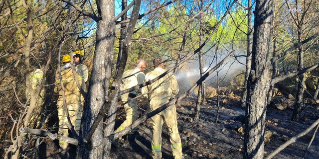 Bornova’da arıcının tütsü yapması sonucu çıkan orman yangını kontrol altına alındı