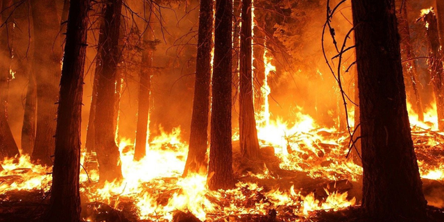 Bugün ülke genelinde 22 yangın çıktı. Gülnar yangınına müdahale devam ediyor