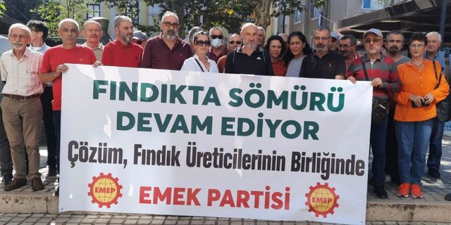 EMEP: Fındıkta çözüm üreticilerde 
