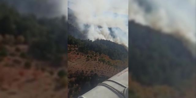 İzmir Bergama'da orman yangını çıktı