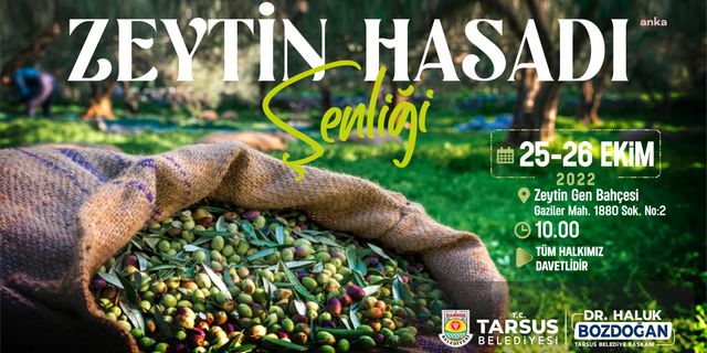 Tarsus Zeytin Hasat Şenliği yarın başlıyor