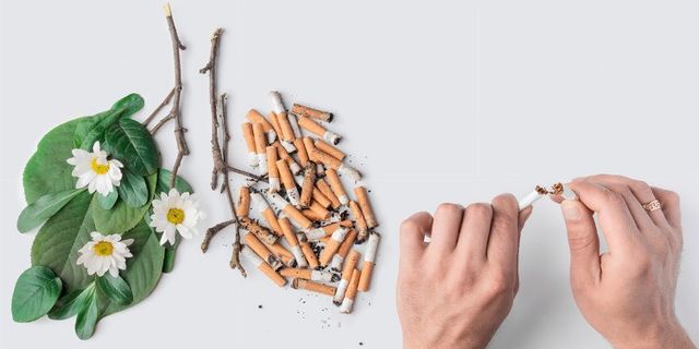 Tütün kullanımı akciğer kanseri riskini arttırıyor