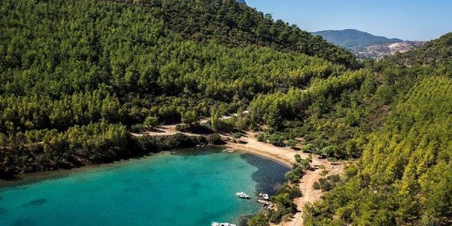 Cengiz İnşaat ye ye bitiremedi: Bodrum'daki turistik tesis için "ÇED gerekli değildir" kararı çıktı