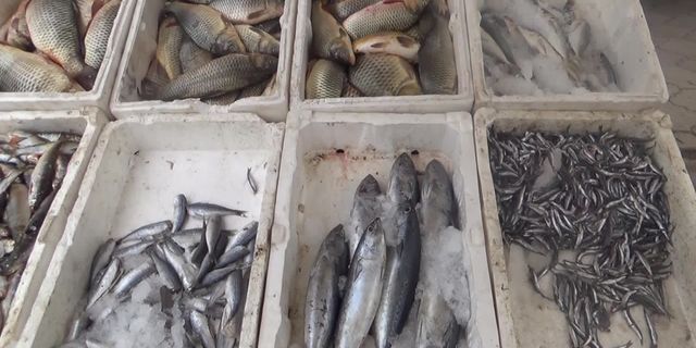 Balıkçı esnafından ekonomi yorumu: 1 tane balık alan müşterimiz oluyor, 1 balık alıp çocuklarına yediriyor