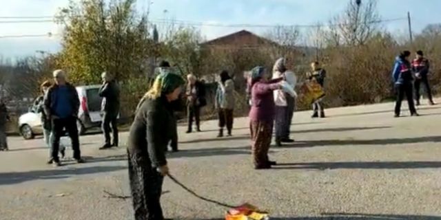 Amasyalı köylüler, tarlalarına yapılan OSB inşaatını protesto etmek için, asfaltı sürüp buğday ekti
