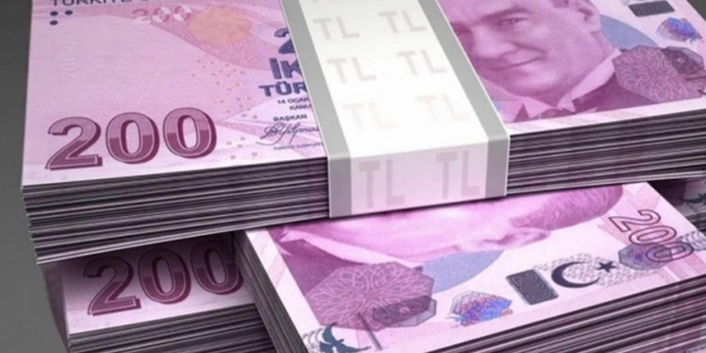 200 TL'lik banknot sayısı son bir yılda yüzde 104 arttı