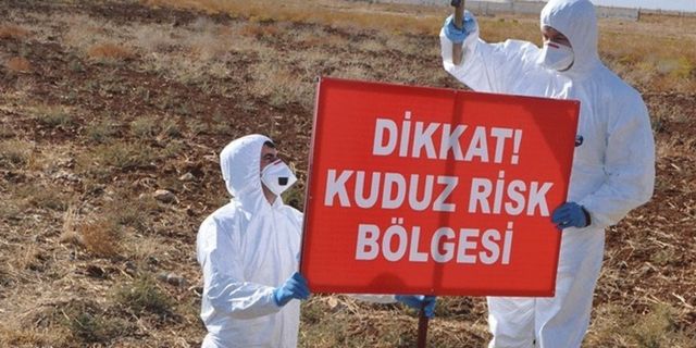 Dersim'in Hozat ilçesinde kuduz vakası: İnekte kuduz çıktı, ilçeye hayvan girişi yasaklandı