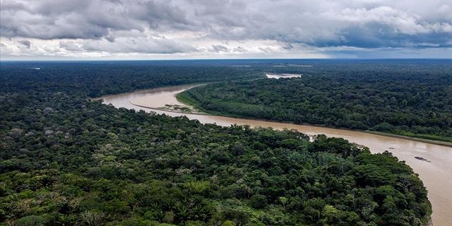Amazonlar'da 2022’de günde 3 bin futbol sahası büyüklüğünde orman yok oldu