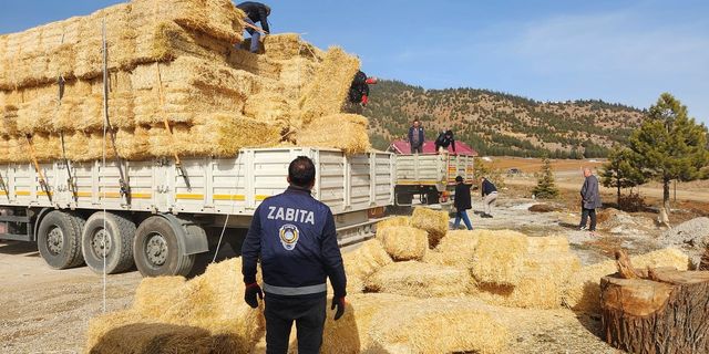 Konyaaltı Belediyesi'nden deprem bölgesine yem ve saman desteği