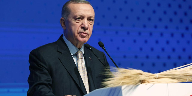 Kulis: Erdoğan bir taşla iki kuş vurmak istiyor