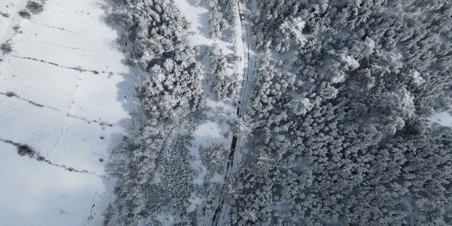 Kastamonu'da karla kaplanan ormanlar havadan görüntülendi