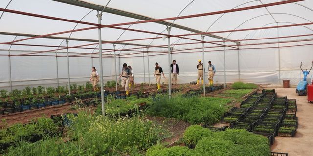 Diyarbakır'da özel öğrenciler Kahramanmaraşlı çiftçiler için sebze fideleri yetiştirdi