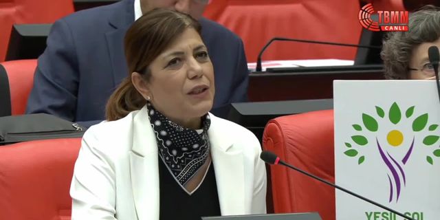 Meral Danış Beştaş: Elimde AKP üye kayıtları var, habersiz bir şekilde üyesi yapılmışlar