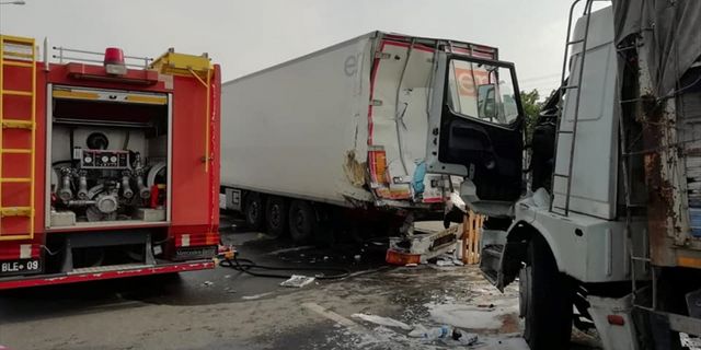 Denizli'de yaralı köpeğe yardım etmek isteyen kişi tırın çarpması sonucu öldü