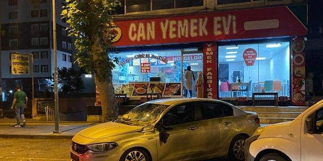 Diyarbakır'da park halindeki 3 aracın üzerine ağaç devrildi