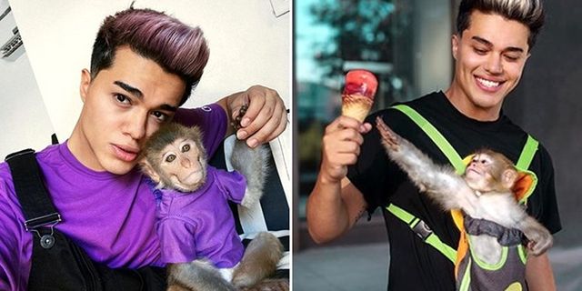 Üçüncü kez kaçak yollarla maymun satın alan sosyal medya fenomeni gözaltında