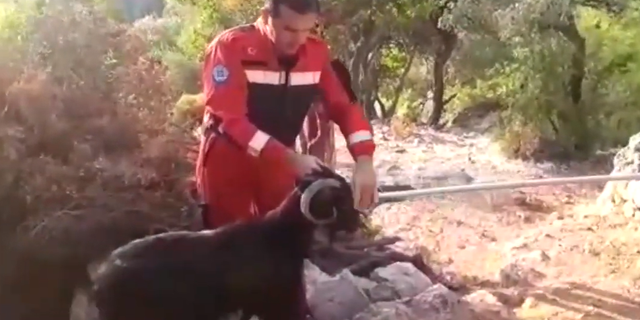 Kuyuda mahsur kalan keçiyi itfaiye ekipleri kurtardı