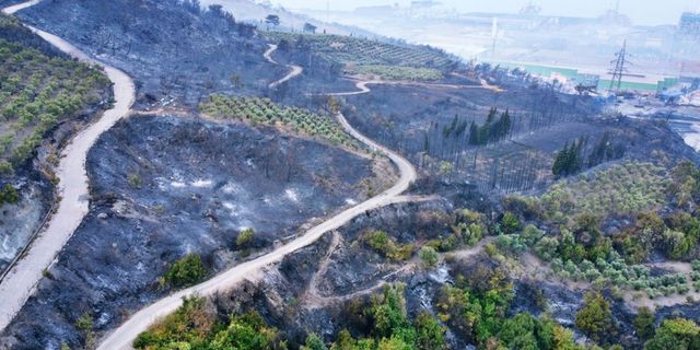 Hatay'daki orman yangını 22 saat sonra kontrol altına alındı