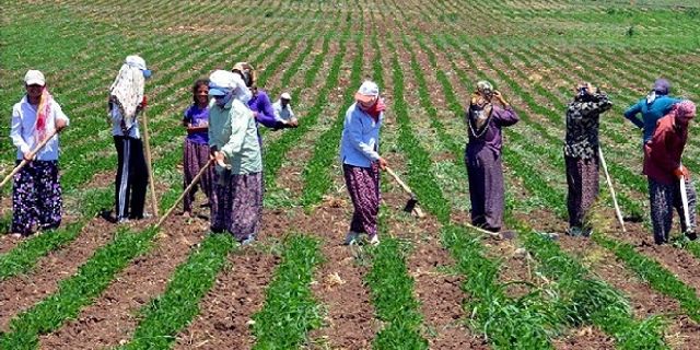 CHP'li Gürer: "Kadın çiftçilere yıpranma payı ve SGK prim desteği verilmeli"