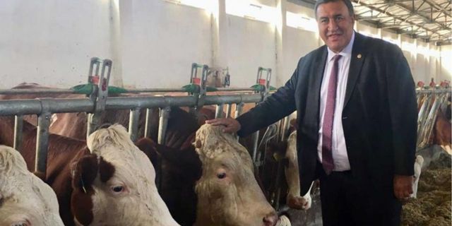 Gürer: "Süt referans fiyatı beklentinin altında kaldı, yeniden belirlenmeli"