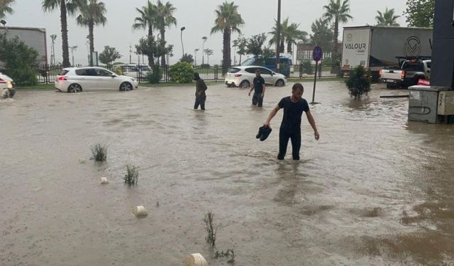 Artvin ve Ordu’da da sağanak yağış sele neden oldu