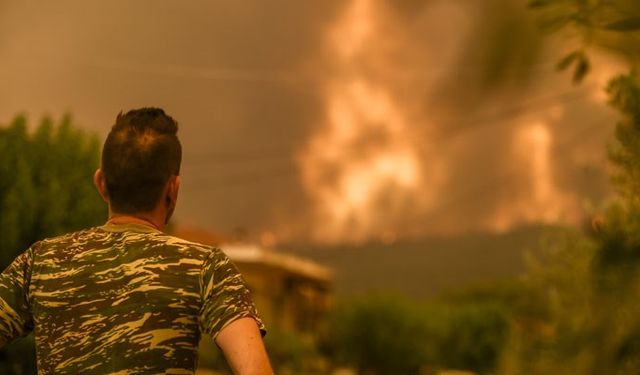 Cezayir'de yangınlarda 42 kişi hayatını kaybetti