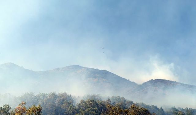 Bingöl'deki orman yangını devam ediyor