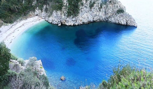 Ekoloji örgütleri milli parkları yapılaşmaya açan yasa teklifinin geri çekilmesini talep etti