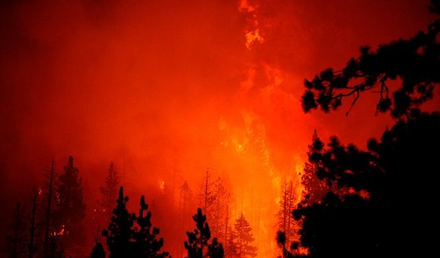 WMO: İklim değişikliğinin, orman yangınları ve hava kirliliği üzerinde büyük etkileri var