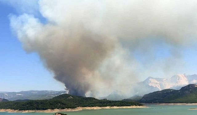 Isparta'da orman yangını: Müdahale devam ediyor