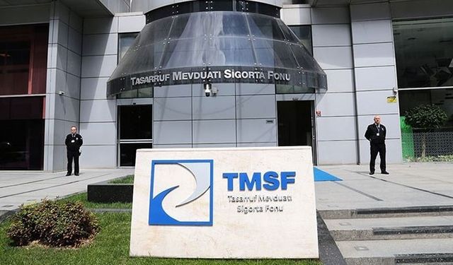 TMSF 2 şirketi satışa çıkardı