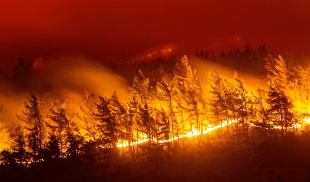 Yunanistan'da Pangeo Dağı'ndaki orman yangını, 7 gündür kontrol altına alınamıyor