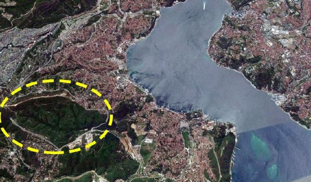 ÇED raporuna gerek görülmedi: Beykoz'da ormana 657 konut projesi